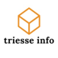 TRIESSE INFO logo - Similar company to Gb Projects Ltd