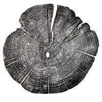 Juniper Tree Climate Solutions