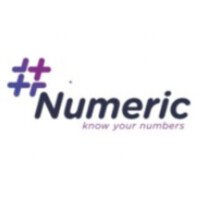 Numeric logo - Similar company to Numeric