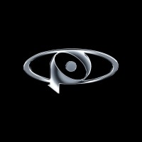 POINT OF VIEW logo - Similar company to Anytime Czech