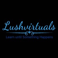 Lushvirtuals | B.A.R.B logo - Similar company to A-Urora Digital