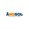 ANGSOL Official logo - Similar company to Next Level School