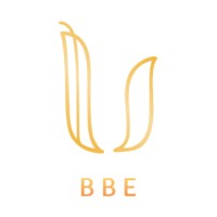 Build Bim Electrical logo - Similar company to Bim-Lab