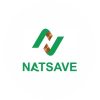 NATSAVE logo - Similar company to Mamba Express