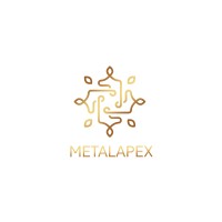 MetalApex Group logo - Similar company to Dvc Management