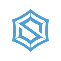 Spydernet Digital Solution logo - Similar company to Geek All Star Software Labs