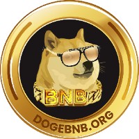 DogeBNB.org logo - Similar company to Pluto Token