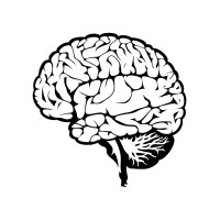 Skill Cortex logo - Similar company to Taltech Student Managed Fund (Tudengifond)