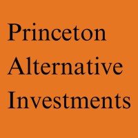 Princeton Alternative Investments logo - Similar company to N2 Communications