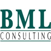 BML Consulting SC logo - Similar company to Bml Consulting
