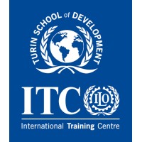 Turin School of Development (TSD) logo - Similar company to Playbird