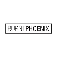 Burnt Phoenix logo - Similar company to Loopenval Advisors