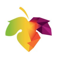 Vino-Business logo - Similar company to Biz & Connect