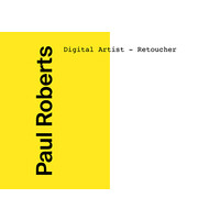 Paul Roberts Digital Artist logo - Similar company to Algia Studio