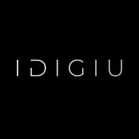 IDIGIU logo - Similar company to Tourify