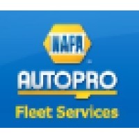 Napa AutoPro PG logo - Similar company to Getmetires