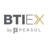 BTI Executive Search logo - Similar company to Lilon Chargetech
