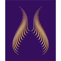 Bodyluxe PLLC logo - Similar company to Beautifully New