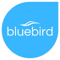 Bluebird Leadership