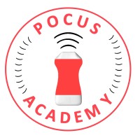 POCUS academy logo - Similar company to Interprofessional Critical Care Network (Iccn)