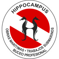 Buceo Profesional Hippocampus logo - Similar company to Ciomar