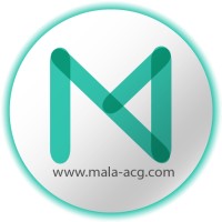 Mala - It Audit & Consulting Group