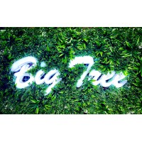 Big Tree Resource logo - Similar company to Extracle