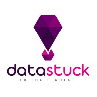 Datastuck logo - Similar company to Sysdbaops