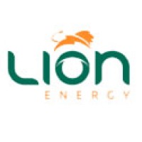 Lion Energy Serviços de Eletrificação LTDA logo - Similar company to Proenergy