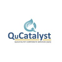 QuCatalyst Corporate Services LLP logo - Similar company to Super Infolabs Private Limited