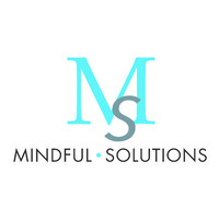 Mindful Solutions logo - Similar company to Radcom 2004 - Industrial Service And Development