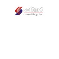 Softnet Consulting Inc logo - Similar company to Soft Net Consulting