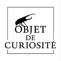 Objet de Curiosité logo - Similar company to Volevatch