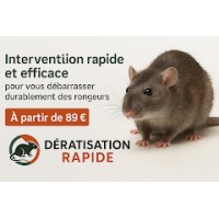 Deratisation rapide logo - Similar company to Rhs Pest Control
