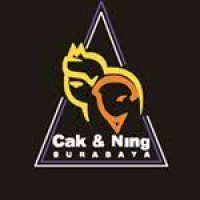 Paguyuban Cak dan Ning Surabaya (CNS) logo - Similar company to Net Centric Computing Laboratory
