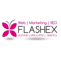 Flashex Web Agency logo - Similar company to Support Web Agency