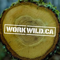 Work Wild logo - Similar company to Workwild_In