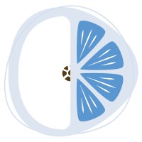 Diab & Diet logo - Similar company to Altaris - Performance Achats & Digital
