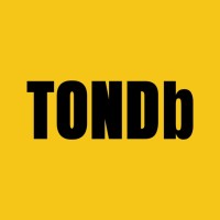TONDb logo - Similar company to Techgeeks
