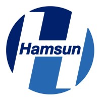 Hamsun Supply_PPE logo - Similar company to Zm Group