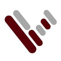 VisualMinds Agency logo - Similar company to Storybook Road Creative Agency