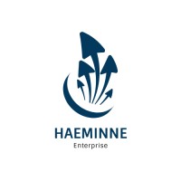 Haeminne Enterprise logo - Similar company to Finance Inc