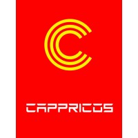 Cappricos Technology Solutions logo - Similar company to Almpg
