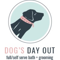 Dog's Day Out