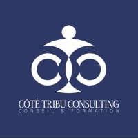 COTE TRIBU CONSULTING logo - Similar company to Mkv