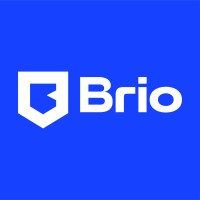 Brio Inc logo - Similar company to Consultisor