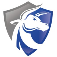 Nasir Consulting Solutions, LLC logo - Similar company to Alpha Visions