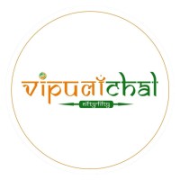 Vipulanchal Wealth Management Pvt ltd logo - Similar company to Coinviews