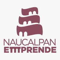 Naucalpan Emprende logo - Similar company to Loop Conexión Empresarial