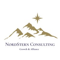 NordStern Consulting logo - Similar company to Insightspoint